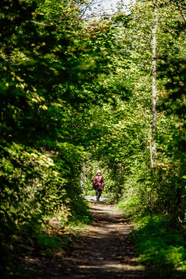 Bois Armand-Frappier – 2km